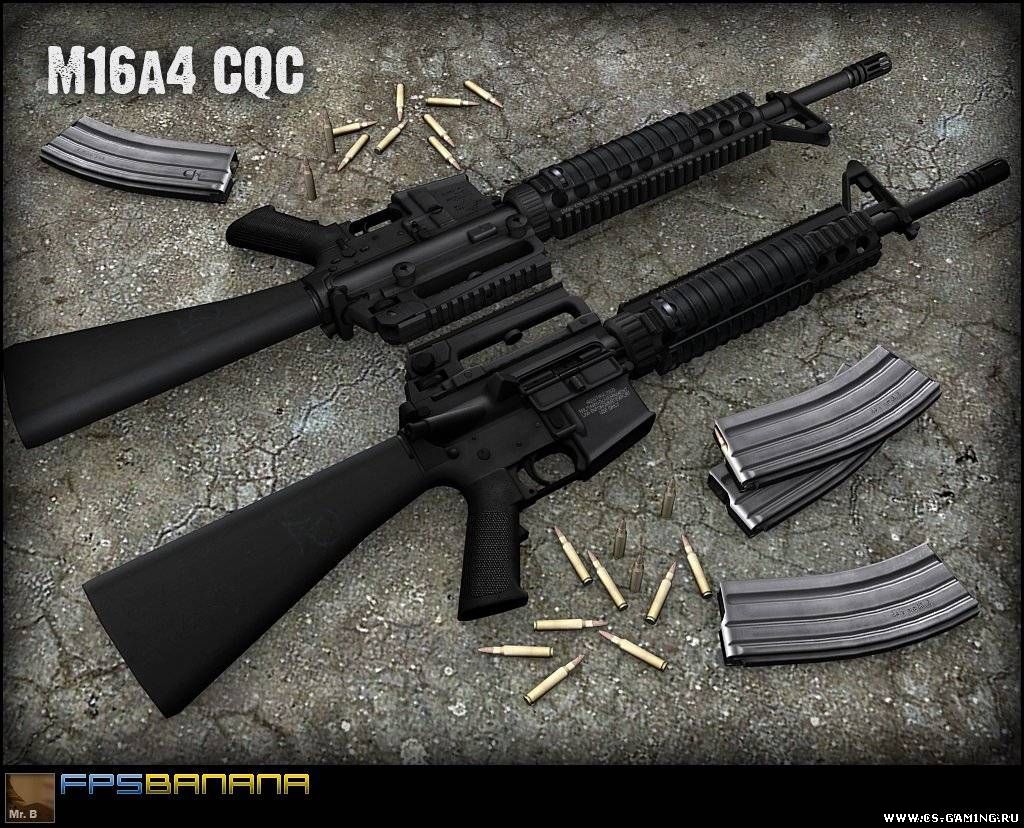 FAMAS для ксс